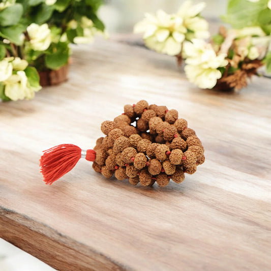 8 Mukhi Nepali Rudraksha Mala 108+1 Beads (10mm)