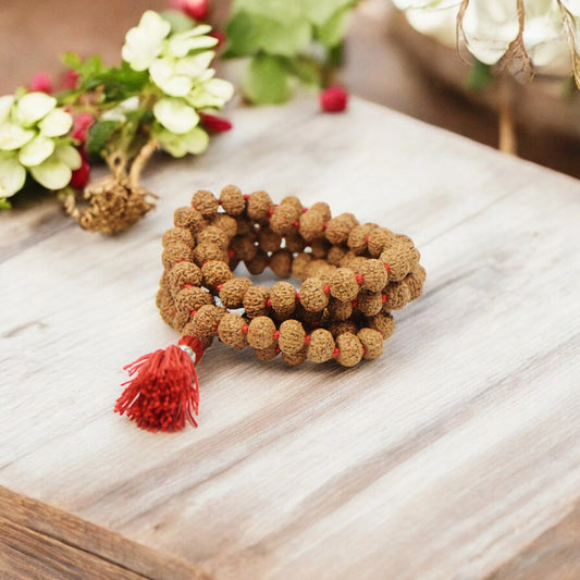 10 Mukhi Nepali Rudraksha Mala 108+1 Beads (14mm)