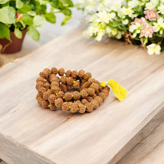 10 Mukhi Nepali Rudraksha Mala 54+1 Beads (14mm)