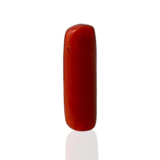 Natural Coral (Italian) - 5.1 Carat