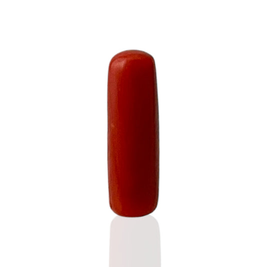 Natural Coral (Italian) - 6.2 Carat