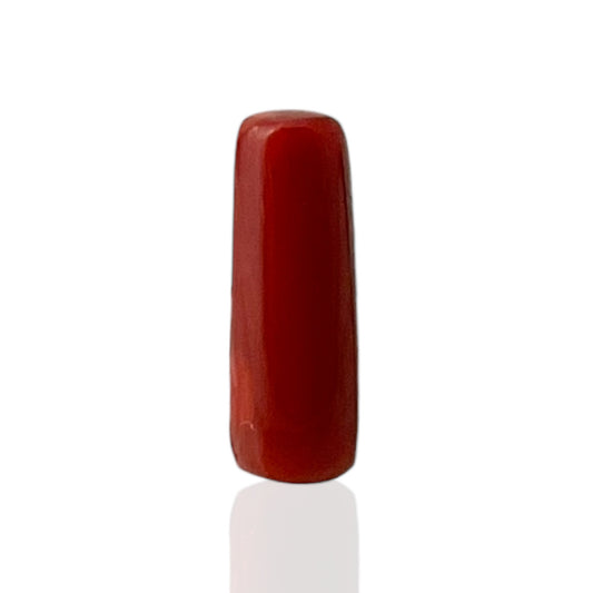 Natural Coral (Italian) - 7.5 Carat