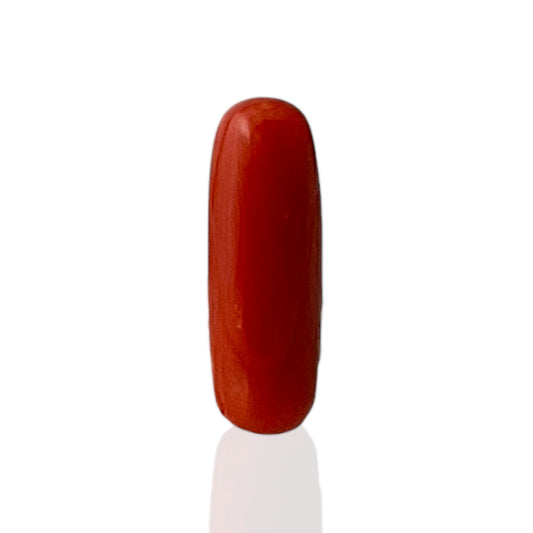 Natural Coral (Italian) - 6.5 Carat