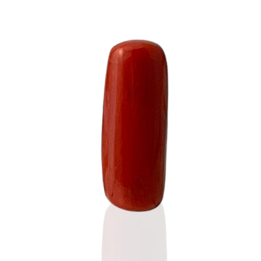 Natural Coral (Italian) - 7.8 Carat