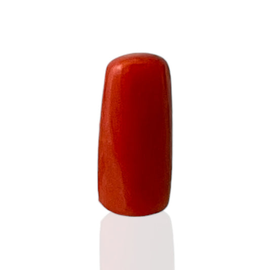 Natural Coral (Italian) - 4.7 Carat