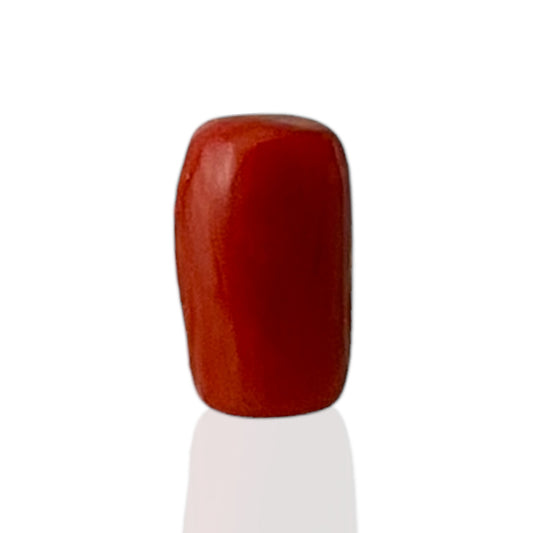 Natural Coral (Italian) - 4.4 Carat