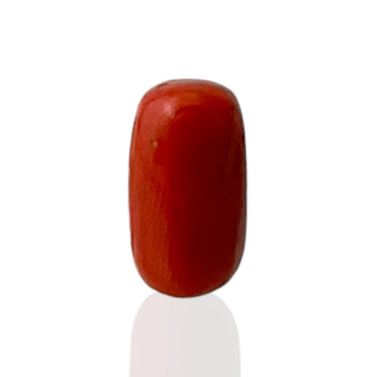 Natural Coral (Italian) - 7.6 Carat