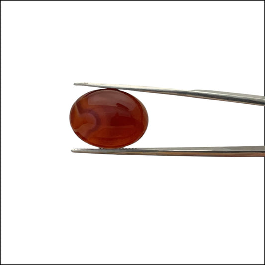 Carnelian Oval Cabachon - 17.9 Carat