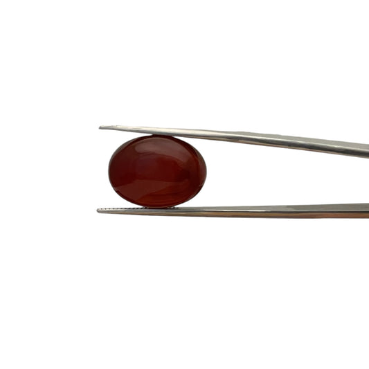 Carnelian Oval Cabachon - 18.7 Carat