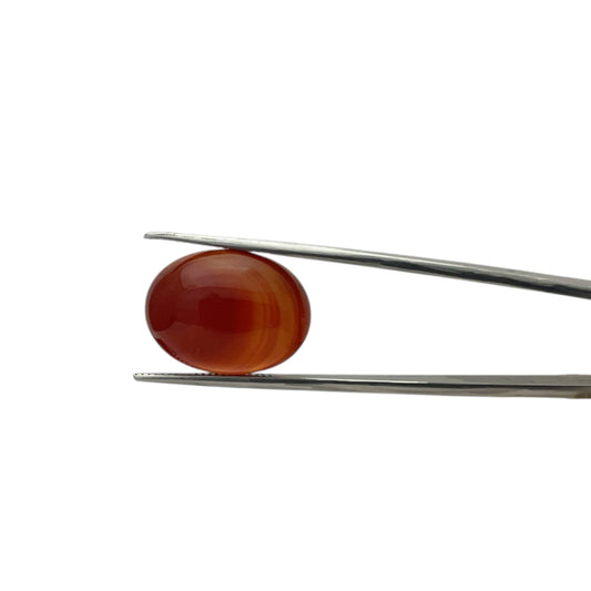 Carnelian Oval Cabachon - 18.1 Carat