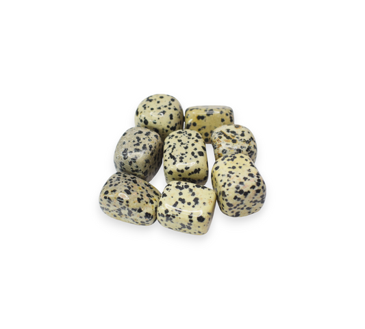 Dalmation Jasper Tumble Stones