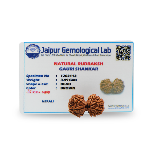 Natural Gauri Shankar Rudraksha With Certificate-GS95