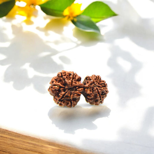 Natural Gauri Shankar Rudraksha With Certificate-GS91