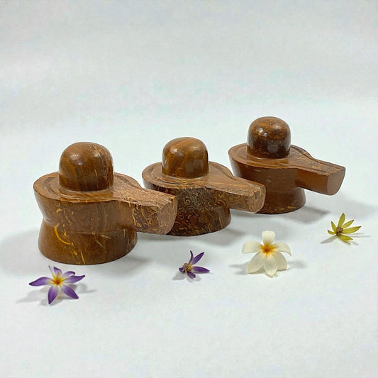 Mariam Jasper Shivling