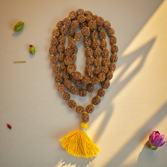 4 Mukhi Rudraksha Mala (81+1)