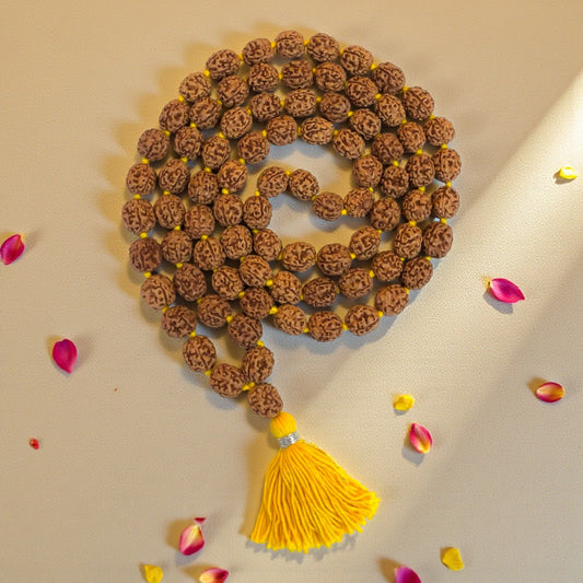 4 Mukhi Rudraksha Mala (81+1)