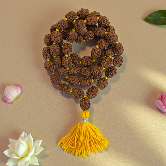 3 Mukhi Rudraksha Mala (54+1)