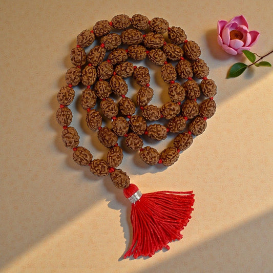 3 Mukhi Rudraksha Mala (54+1)