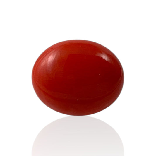 Red Coral (Japanese) - 9.3 Carat