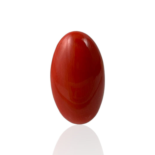 Red Coral (Japanese) - 8.1 Carat