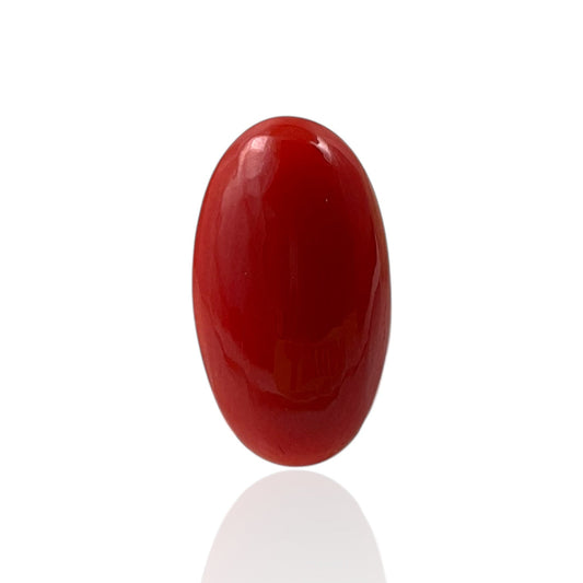 Red Coral (Japanese) - 4.9 Carat