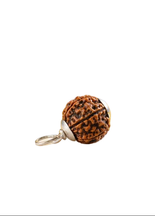 6 Mukhi Rudraksha Silver Pendant