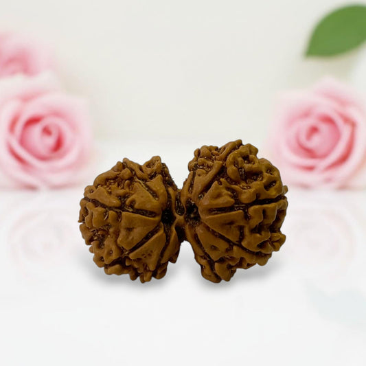 Gauri Shankar Rudraksha