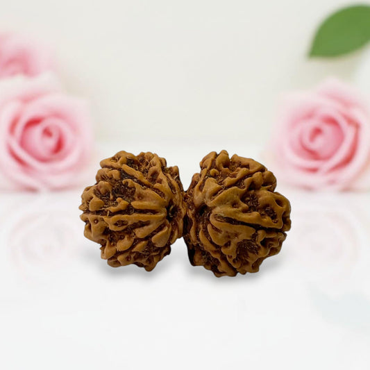 Gauri Shankar Rudraksha
