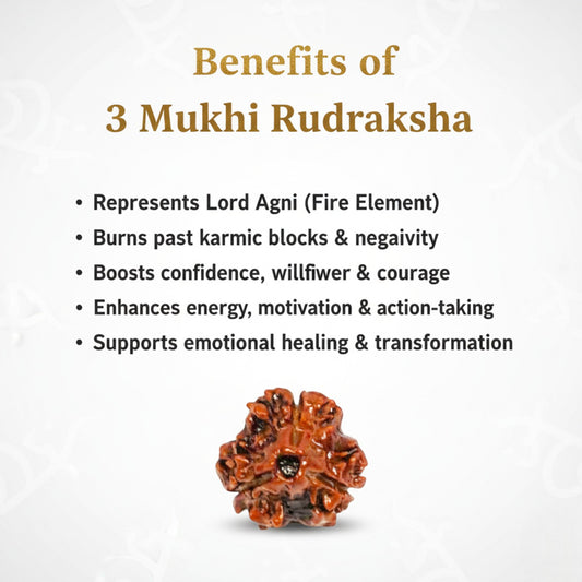 3 Mukhi Rudraksha Gold-Plated Pendant – AA Premium Quality