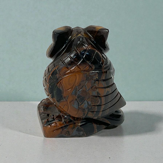Tiger Eye Owl