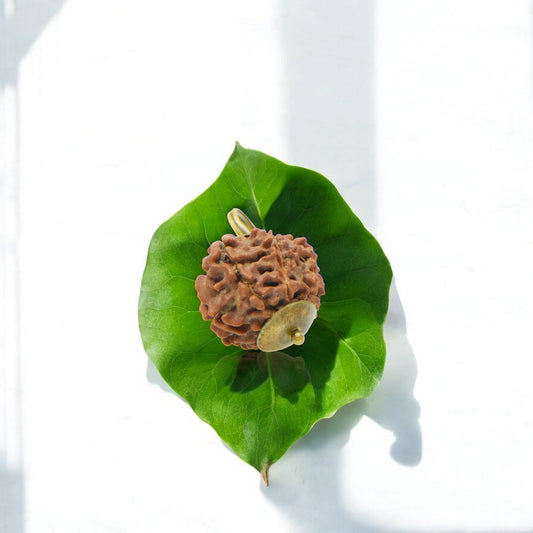 9 Mukhi Nepali Rudraksha (16mm)