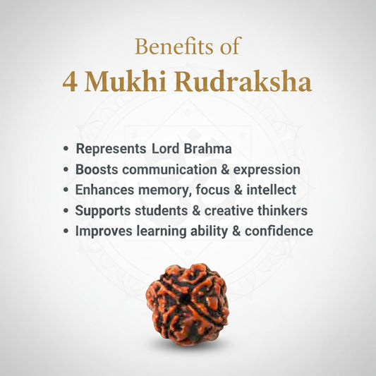 4 Mukhi Rudraksha  Gold-Plated Pendant – AA Premium Quality