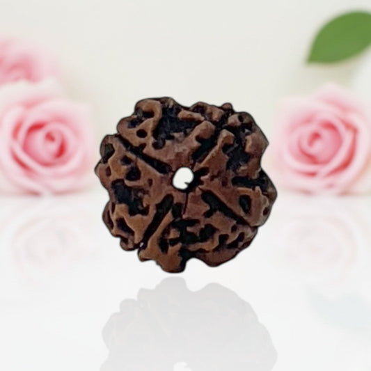 Natural 4 Mukhi Rudraksha Beads – AA Premium Quality