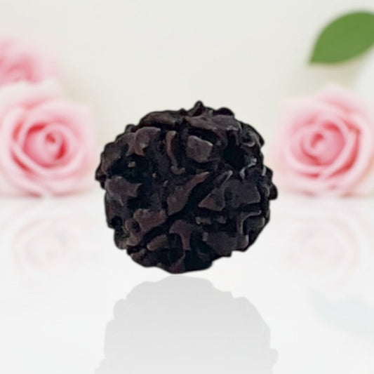 Natural 4 Mukhi Rudraksha Beads – A Premium Quality