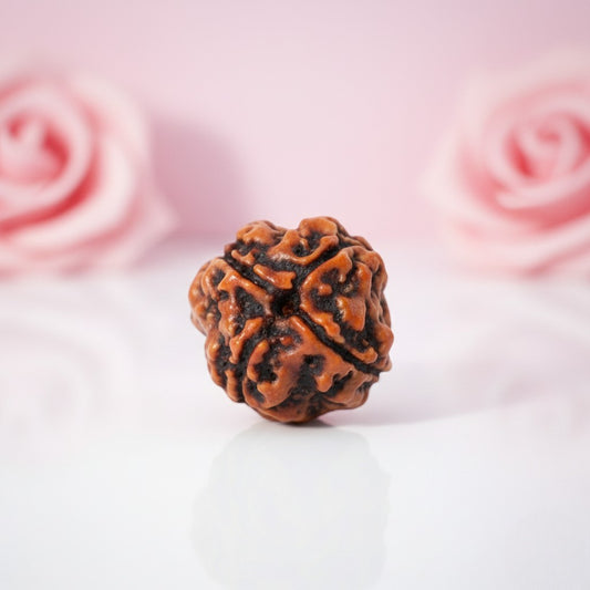 Natural 4 Mukhi Rudraksha Beads – AAA Premium Quality