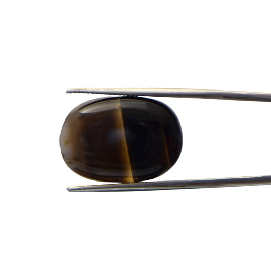 Natural Black Agate - 24.9 Carat
