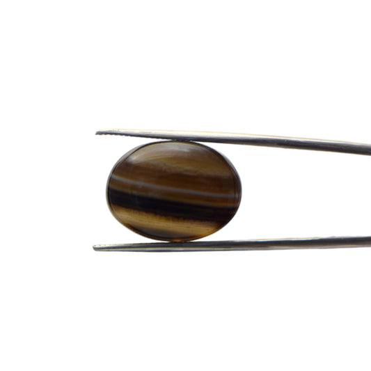 Natural Black Agate - 25.5 Carat