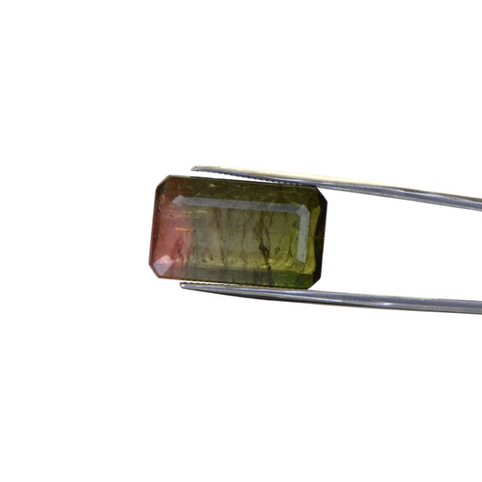 Natural Watermelon Tourmaline - 18.2 Carat