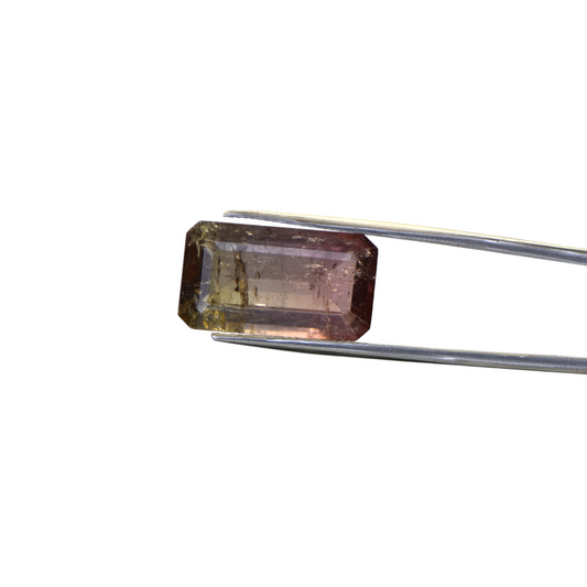 Natural Watermelon Tourmaline - 13.1 Carat