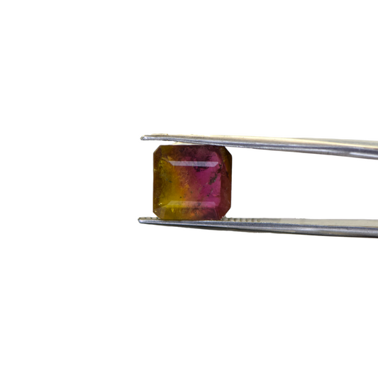Natural Watermelon Tourmaline - 4.5 Carat