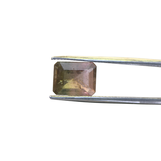 Natural Watermelon Tourmaline - 2.4 Carat