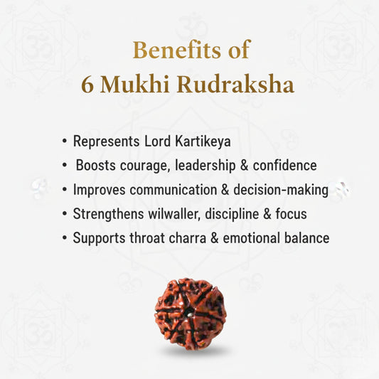 6 Mukhi Rudraksha Silver (92.5) Pendant