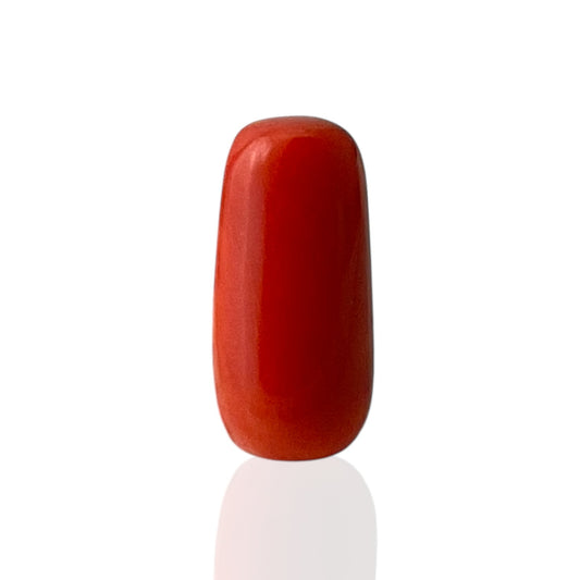 Red Coral (Italian) - 10.42 Carat