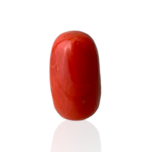 Red Coral (Italian) - 8.64 Carat