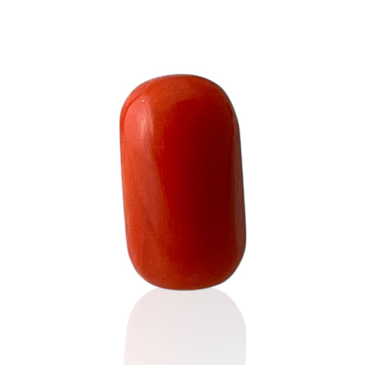 Red Coral (Italian) - 11.84 Carat