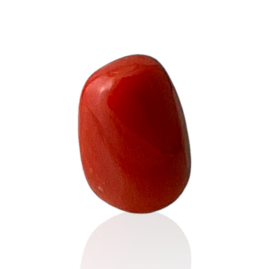 Red Coral (Italian) - 7.53 Carat