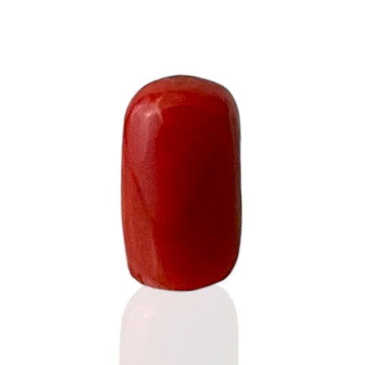 Red Coral (Italian) - 4.85 Carat