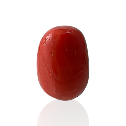 Red Coral (Italian) - 8.21 Carat