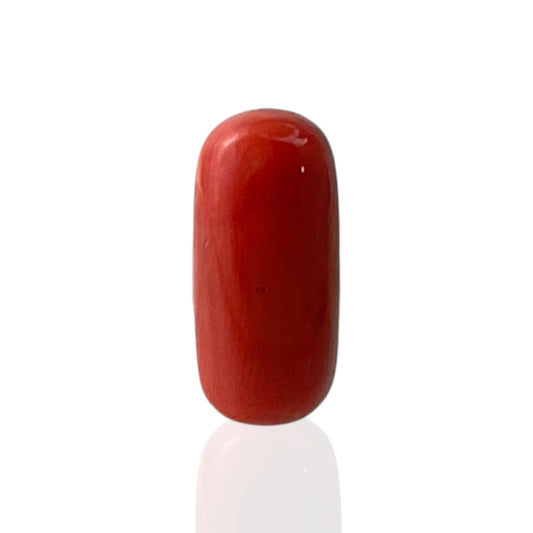 Red Coral (Italian) - 6.41 Carat