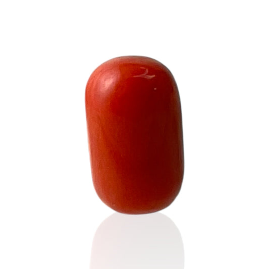 Red Coral (Italian) - 10.25 Carat
